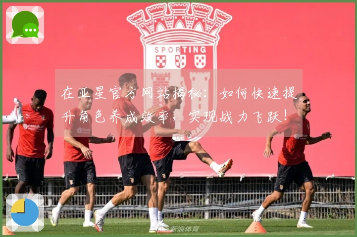 在亚星官方网站揭秘：如何快速提升角色养成效率，实现战力飞跃！