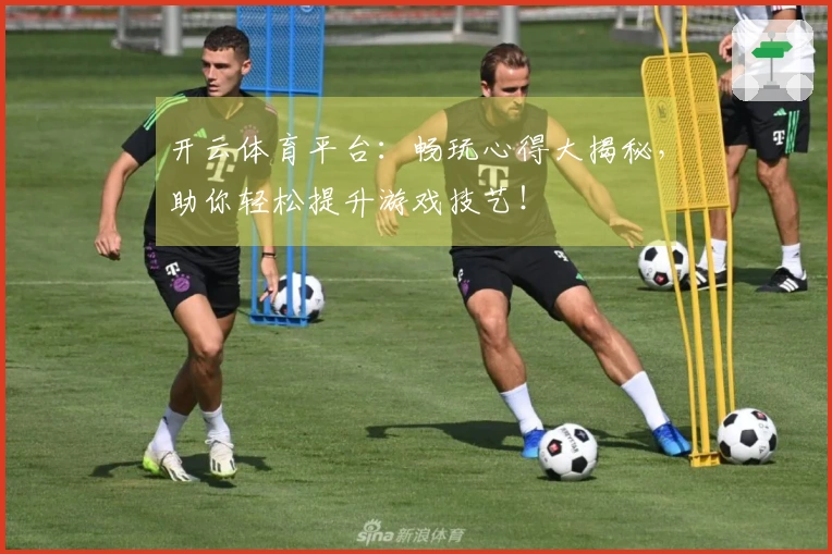 开云体育平台：畅玩心得大揭秘，助你轻松提升游戏技艺！