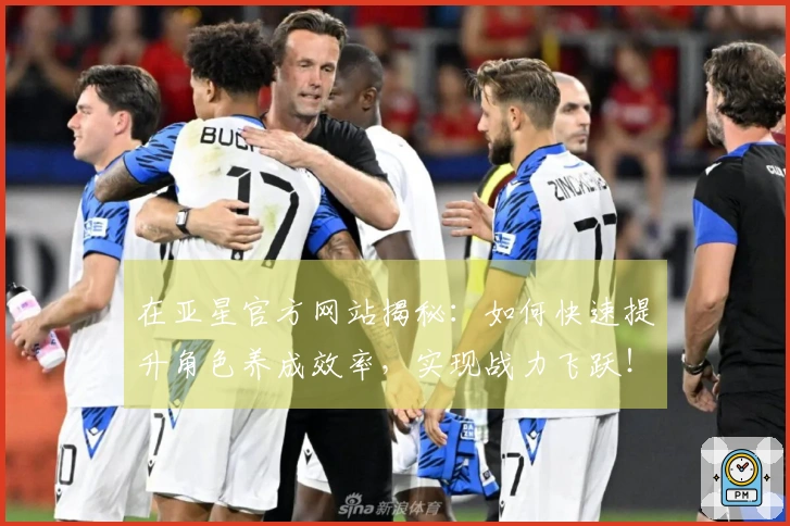 在亚星官方网站揭秘：如何快速提升角色养成效率，实现战力飞跃！